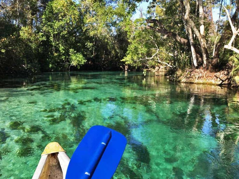 Weeki Wachee Spring, United States